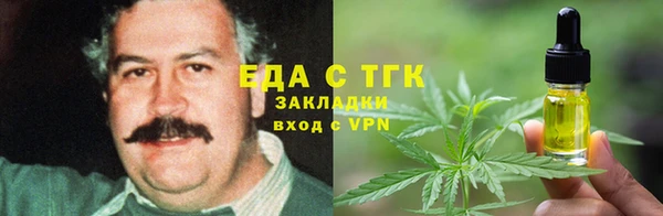 гашик Алзамай