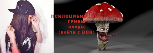 дурь Алексин
