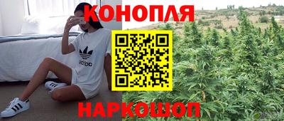 mdpv Краснодар