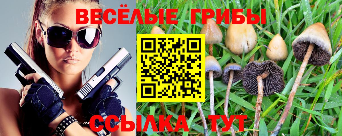 Псилоцибиновые грибы ЛСД Елизово